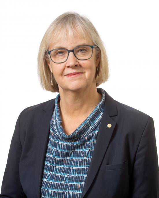 Lena Erixon generaldirektör Trafikverket.
