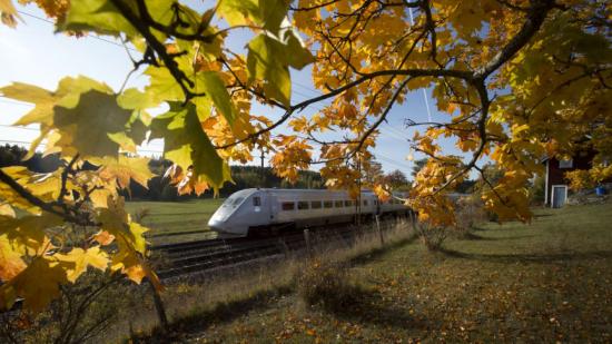 Ett X 2000-tåg susar fram genom soligt höstlandskap.