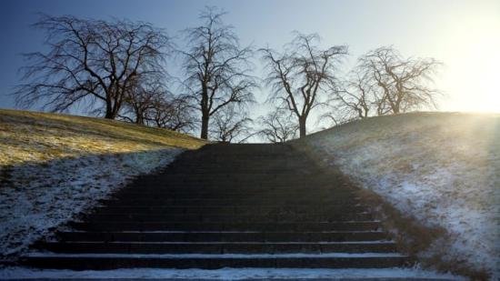 Svevia får fortsatt förtroende för att sköta om grönytor och gravplatser på Skogskyrkogårdens norra del.