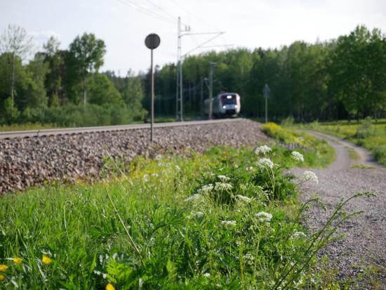 Järnväg Dalarna.