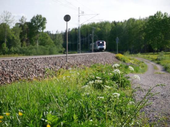 Ett innovationsprojekt för ökad säkerhet vid oskyddade plan-korsningar.